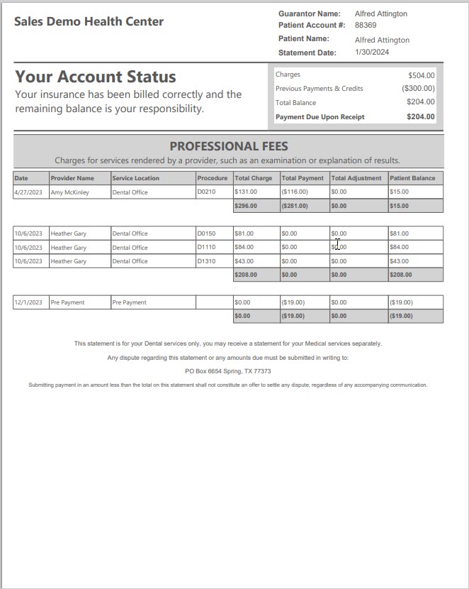 Sample Patient Statement, the details page 